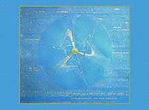   50 х 65 см.,   бумага, маркер,    2002г.    

                       
                          УВЕЛИЧИТЬ