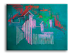   50 х 65 см.,    бумага, пастель,    2002г.    